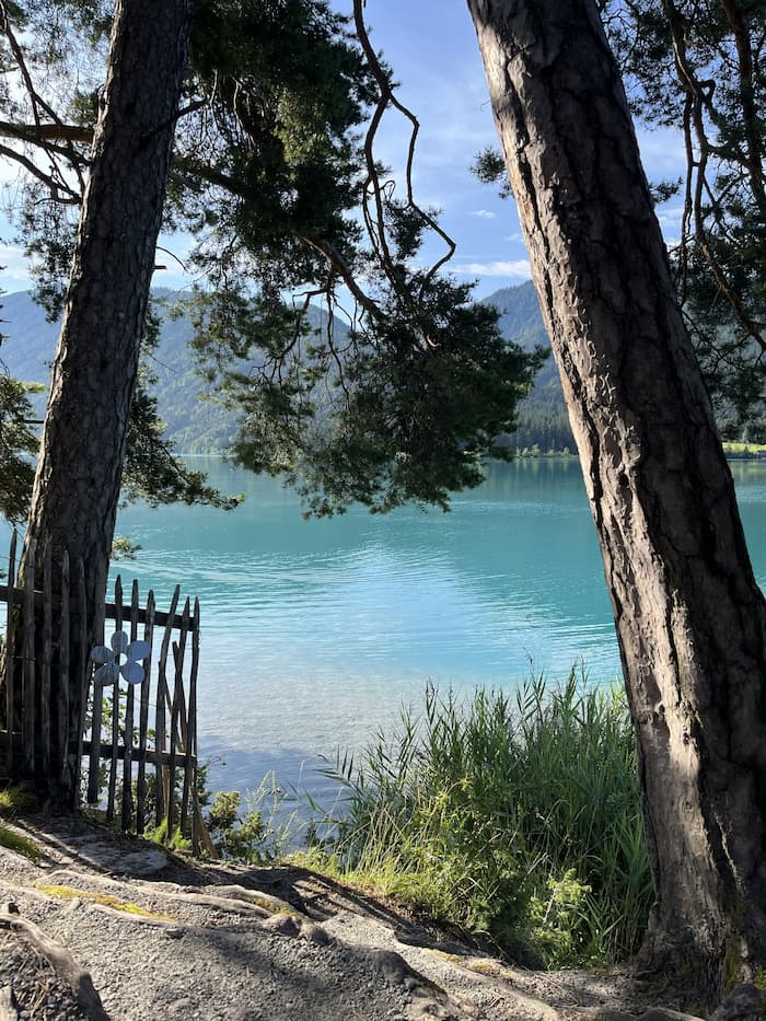 Türkisblauer Weißensee in Kärnten, Blick durch Kiefern und Holzzaun auf See und Berge, Urlaub am Weißensee