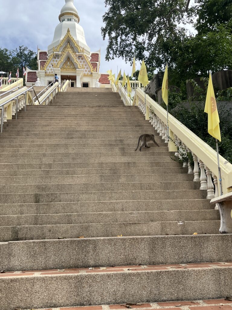 Aufstieg zum Wat Khao Takiab mit Affen am Treppengeländer